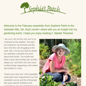 sophiesnews
