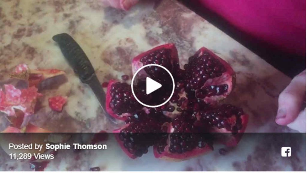 cut a pomegranate