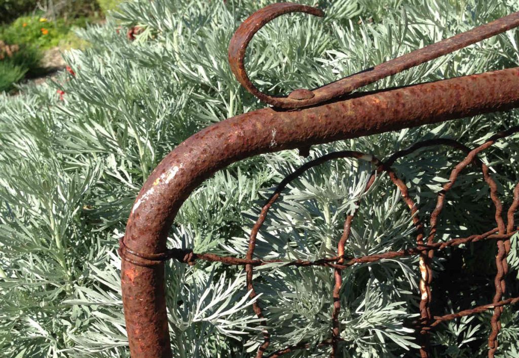 old rusty gate with grey foliage