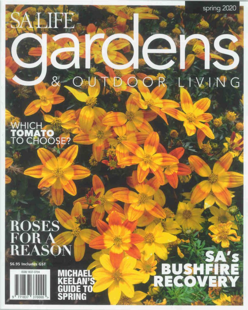 bushfire recovery article