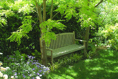 garden bench in shady garden