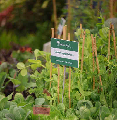 green vegetable sign