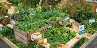 vegetable display garden