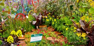 colourful garden with log stepping stones