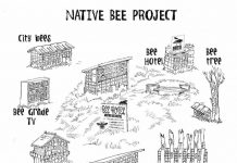 native bee hotel sketch