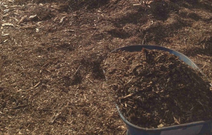 Mulch Why What Myths Tips Sophies, How To Keep Birds Out Of Garden Mulch