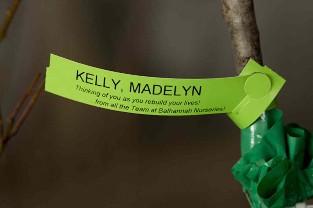 fruit tree label