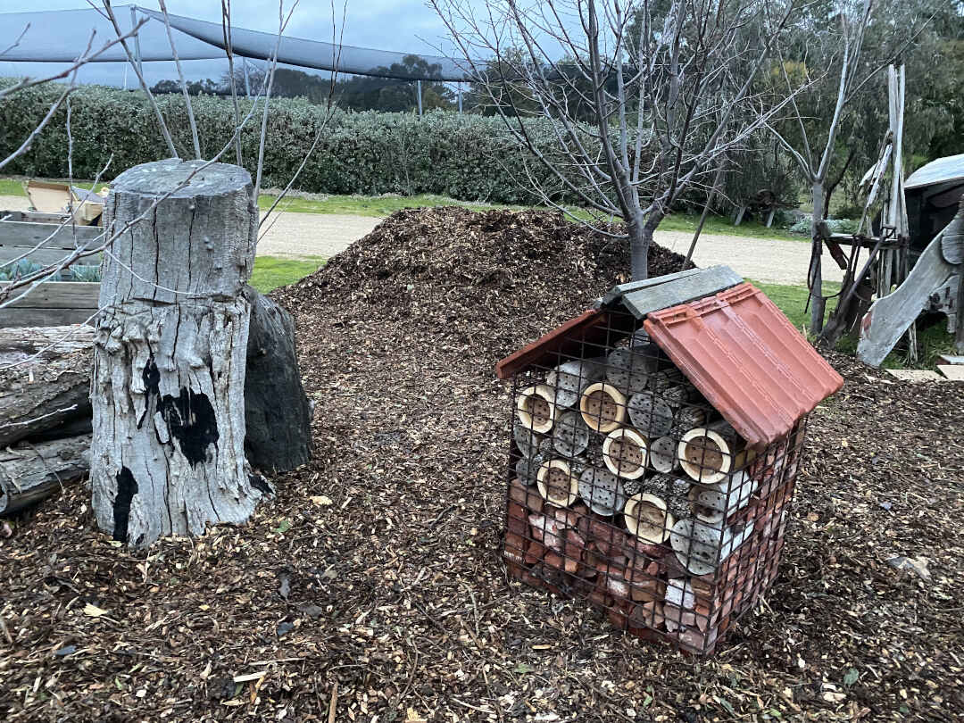 Picture of Sheet Mulching