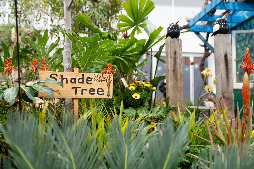 Sophie's Garden 
Installment at the Royal Adelaide Show 2025