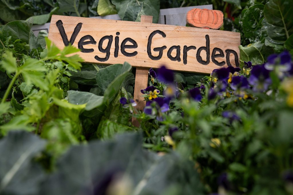 Sophie's Garden 
Installment at the Royal Adelaide Show 2025