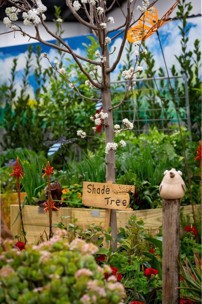 The shade tree, in blossom, at Sophie Thompson's Royal Adelaide Show garden feature