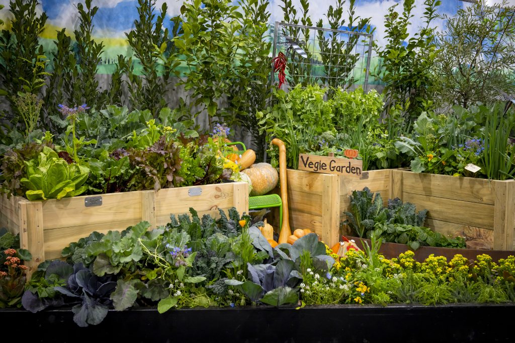 Sophie Thompson's Royal Adelaide Show feature - the veggie garden