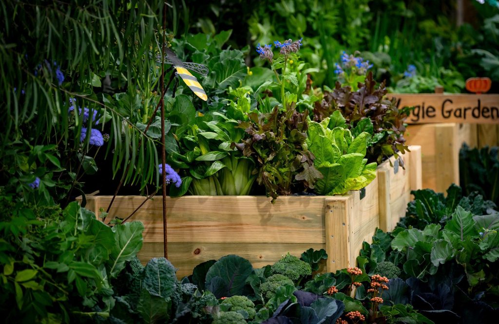 Sophie Thompson's Adelaide Show installment 2026 - the veggie garden shown