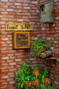 Insect hotel in Sophie Thompson's Royal Adelaide Show garden feature